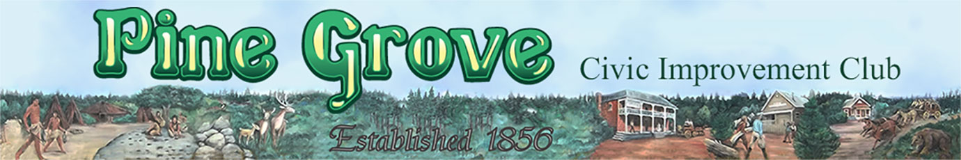 070523-1380Pine-Grove1080x180final-header