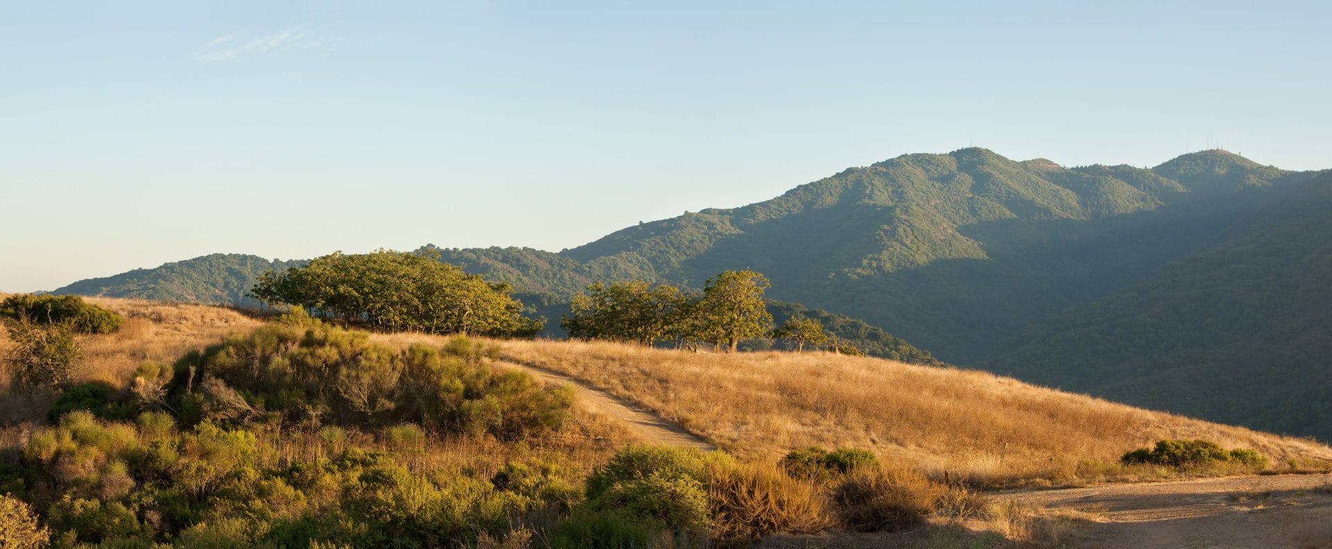 AdobeStock_35365490-min